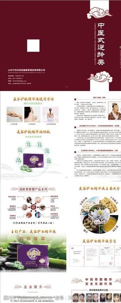 日用之美，生活之趣——探索日用品畫冊(cè)的圖片素材世界